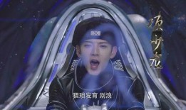 咏春小李爆料视频大全,揭秘咏春拳法精髓与实战技巧